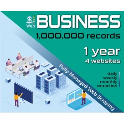 BUSINESS - 1M Records, 4 Sites, 1-Year All-Incluse Managed Web Scraping